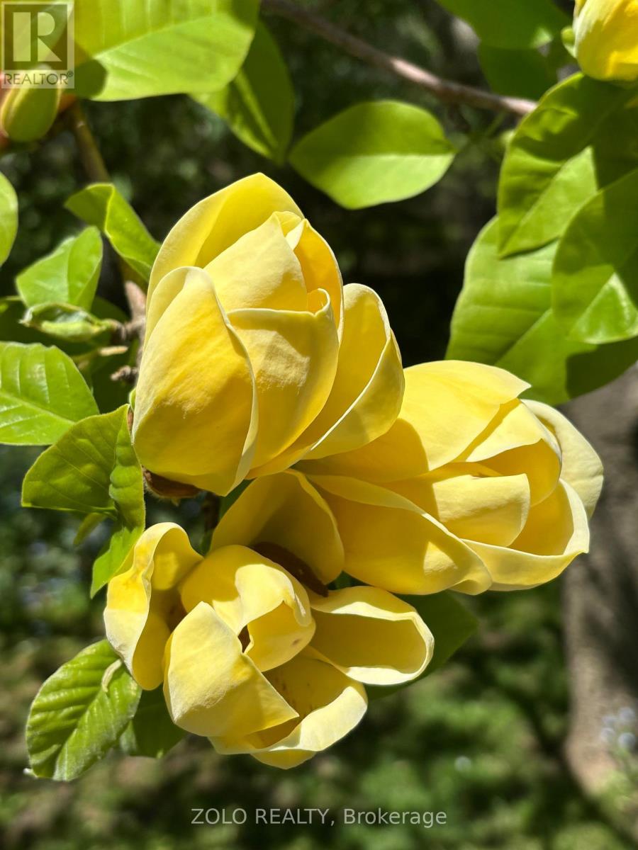 139 Campbell Avenue W, Milton, Ontario  L0P 1B0 - Photo 49 - W12628208