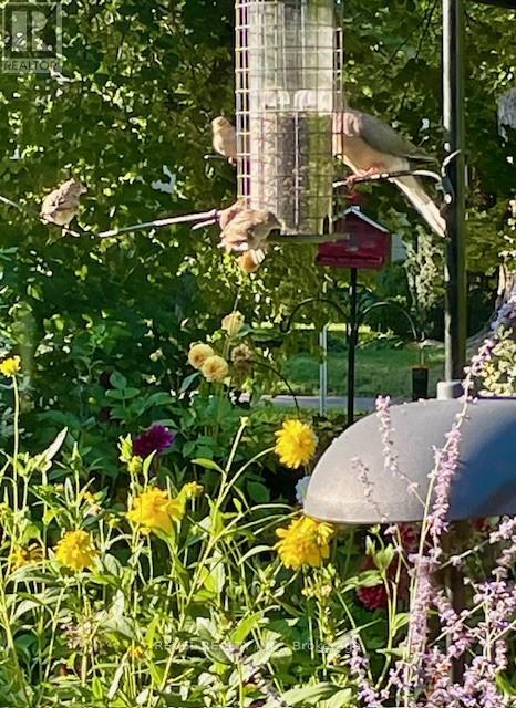 1752 Kilborn Avenue, Ottawa, Ontario  K1H 6N2 - Photo 39 - X12628274