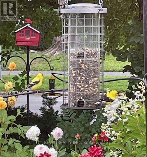 1752 Kilborn Avenue, Ottawa, Ontario  K1H 6N2 - Photo 40 - X12628274