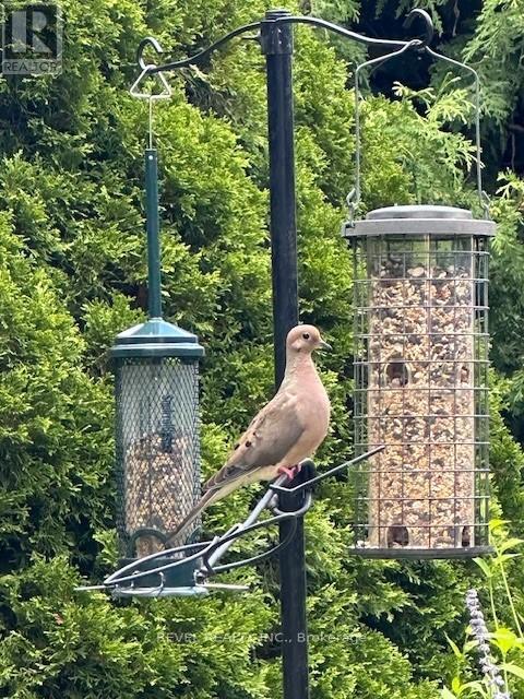 1752 Kilborn Avenue, Ottawa, Ontario  K1H 6N2 - Photo 41 - X12628274