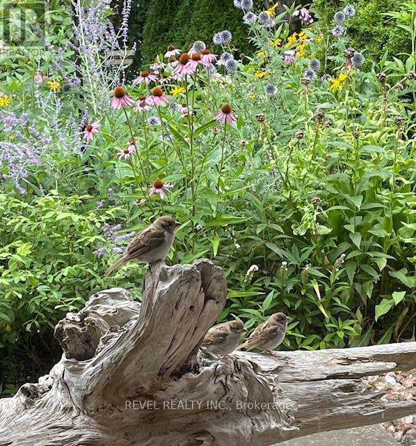 1752 Kilborn Avenue, Ottawa, Ontario  K1H 6N2 - Photo 42 - X12628274