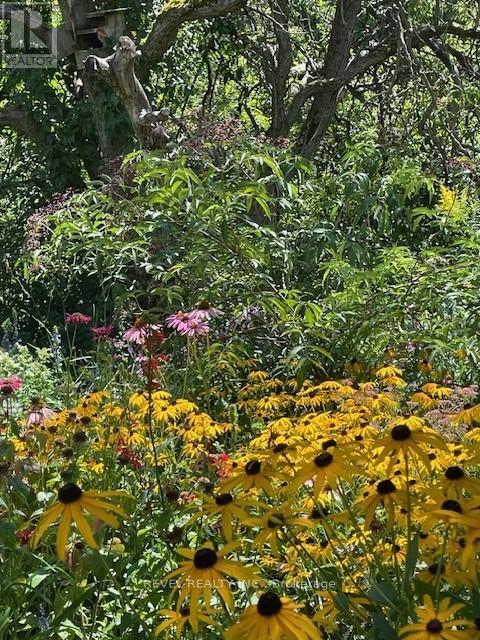 1752 Kilborn Avenue, Ottawa, Ontario  K1H 6N2 - Photo 49 - X12628274