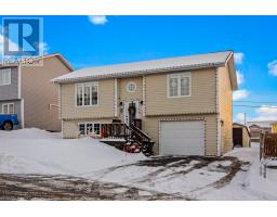 36 Cape Pine Street, St. John's, Newfoundland & Labrador