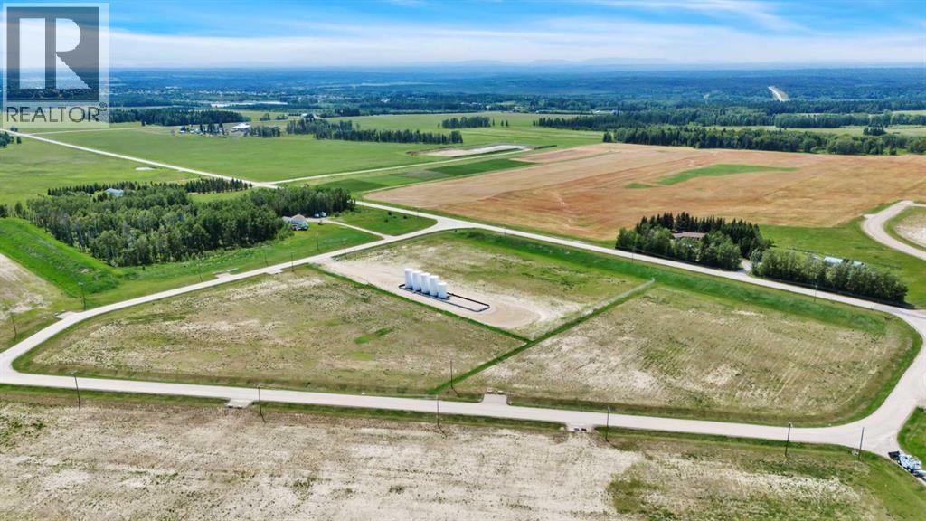 10 Metaldog Drive, Rural Clearwater County, Alberta T4T 2A2 - Photo 22 - A2003128