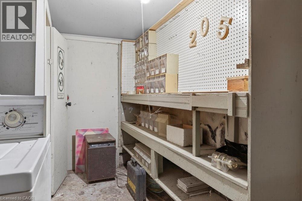 205 Locke Street N, Hamilton, Ontario  L8R 3B1 - Photo 37 - 40788718