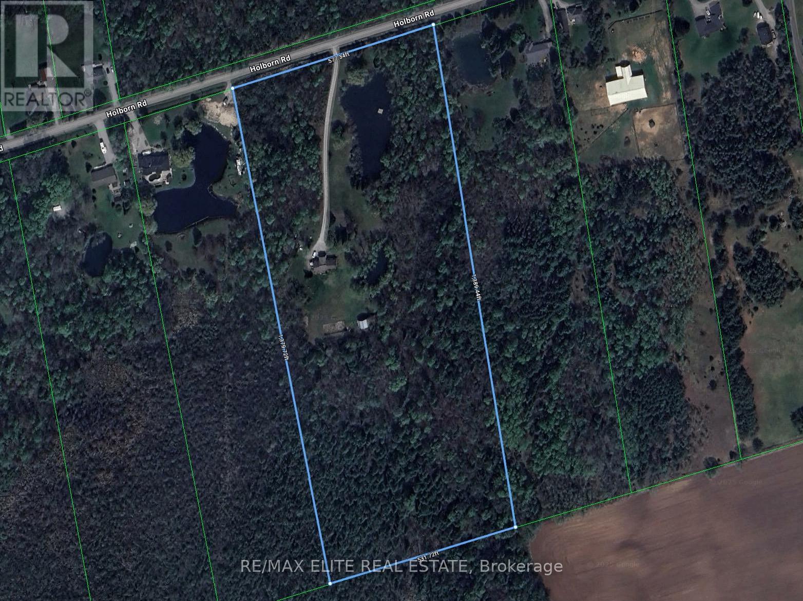 4909 Holborn Road, East Gwillimbury, Ontario  L0G 1M0 - Photo 3 - N12627308