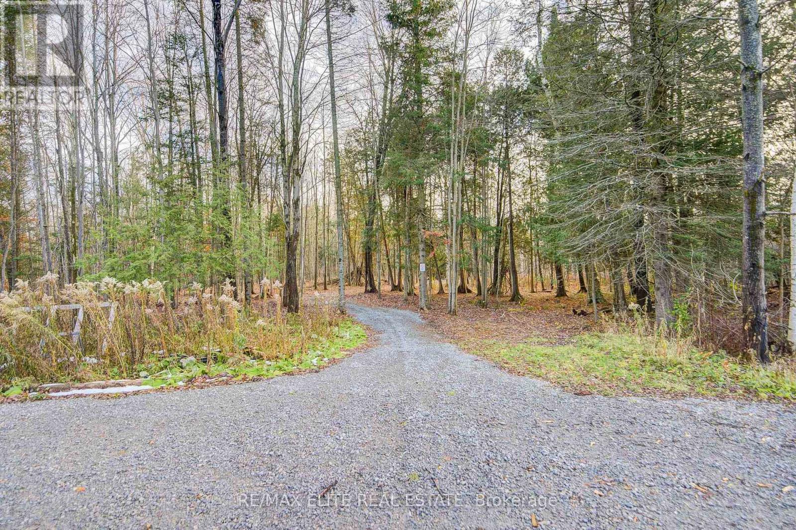 4909 Holborn Road, East Gwillimbury, Ontario  L0G 1M0 - Photo 44 - N12627308