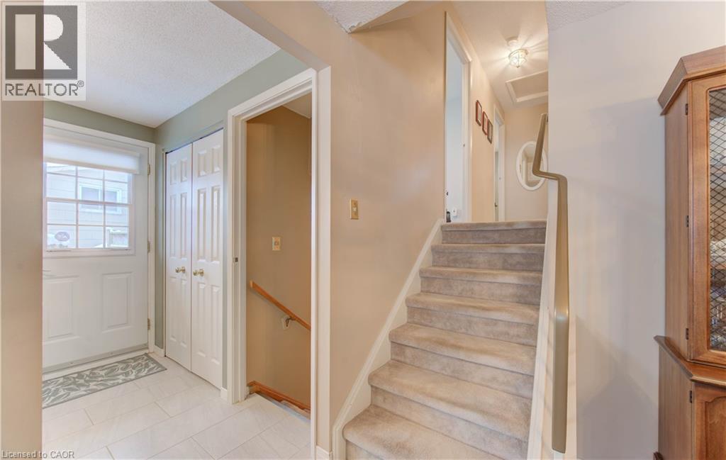 33 Manor Drive, Kitchener, Ontario  N2A 2T9 - Photo 13 - 40793568