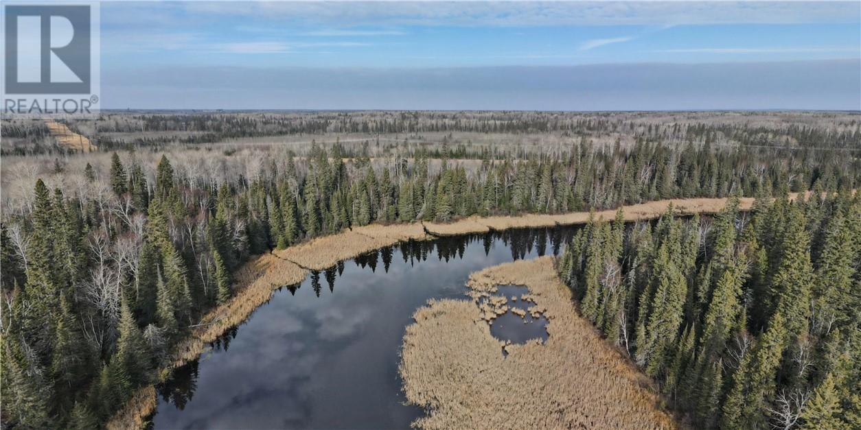 Pin 65385-0005 Night Hawk Lake, Timmins, Ontario  P0N 1A0 - Photo 22 - 2125896