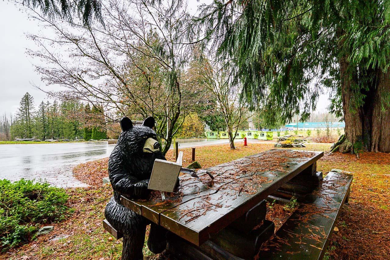 20 53480 Bridal Falls Road, Bridal Falls, Rosedale, British Columbia  V0X 1X1 - Photo 38 - R3073518