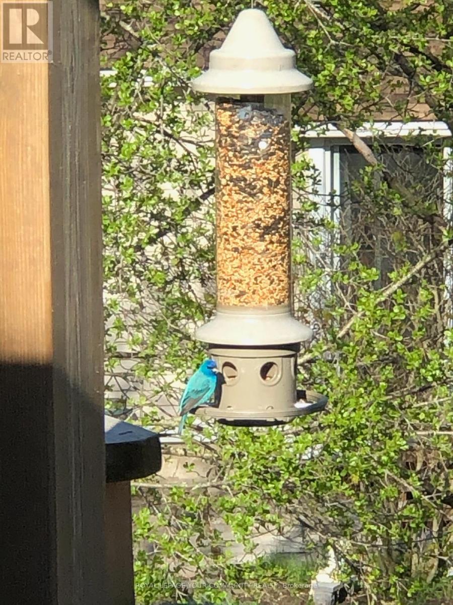 11 Summit Crescent, East Gwillimbury, Ontario L9N 1C1 - Photo 40 - N12628368