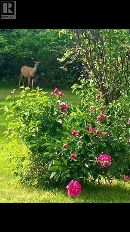 10511 109 Avenue, Grande Prairie, Alberta T8V 1S4 - Photo 34 - A2272896