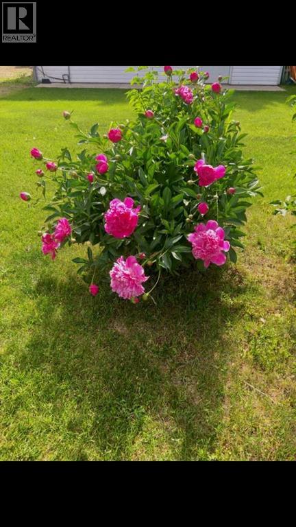 10511 109 Avenue, Grande Prairie, Alberta T8V 1S4 - Photo 35 - A2272896