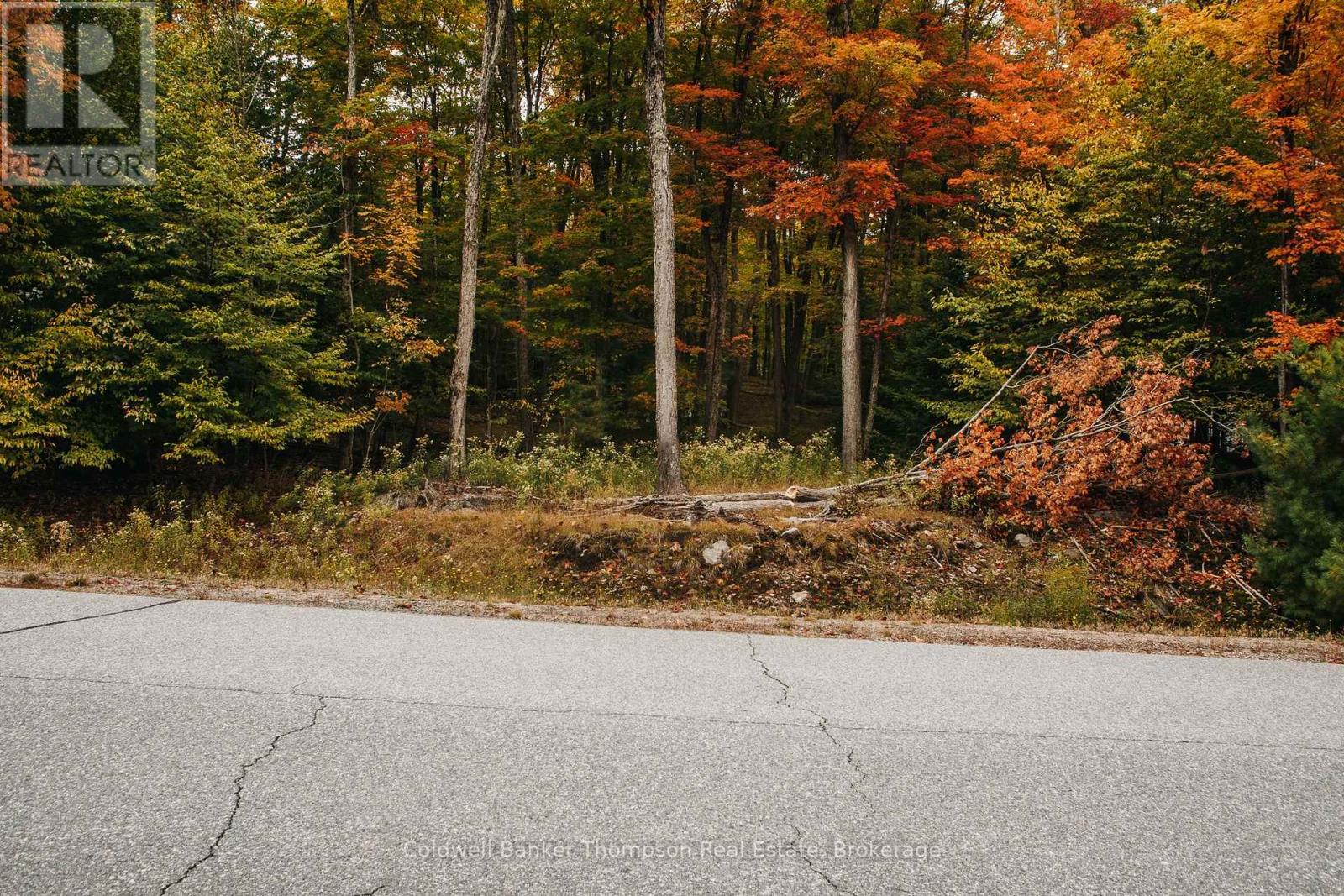 130 Deerfoot Trail, Huntsville, Ontario P1H 0A8 - Photo 4 - X12628554