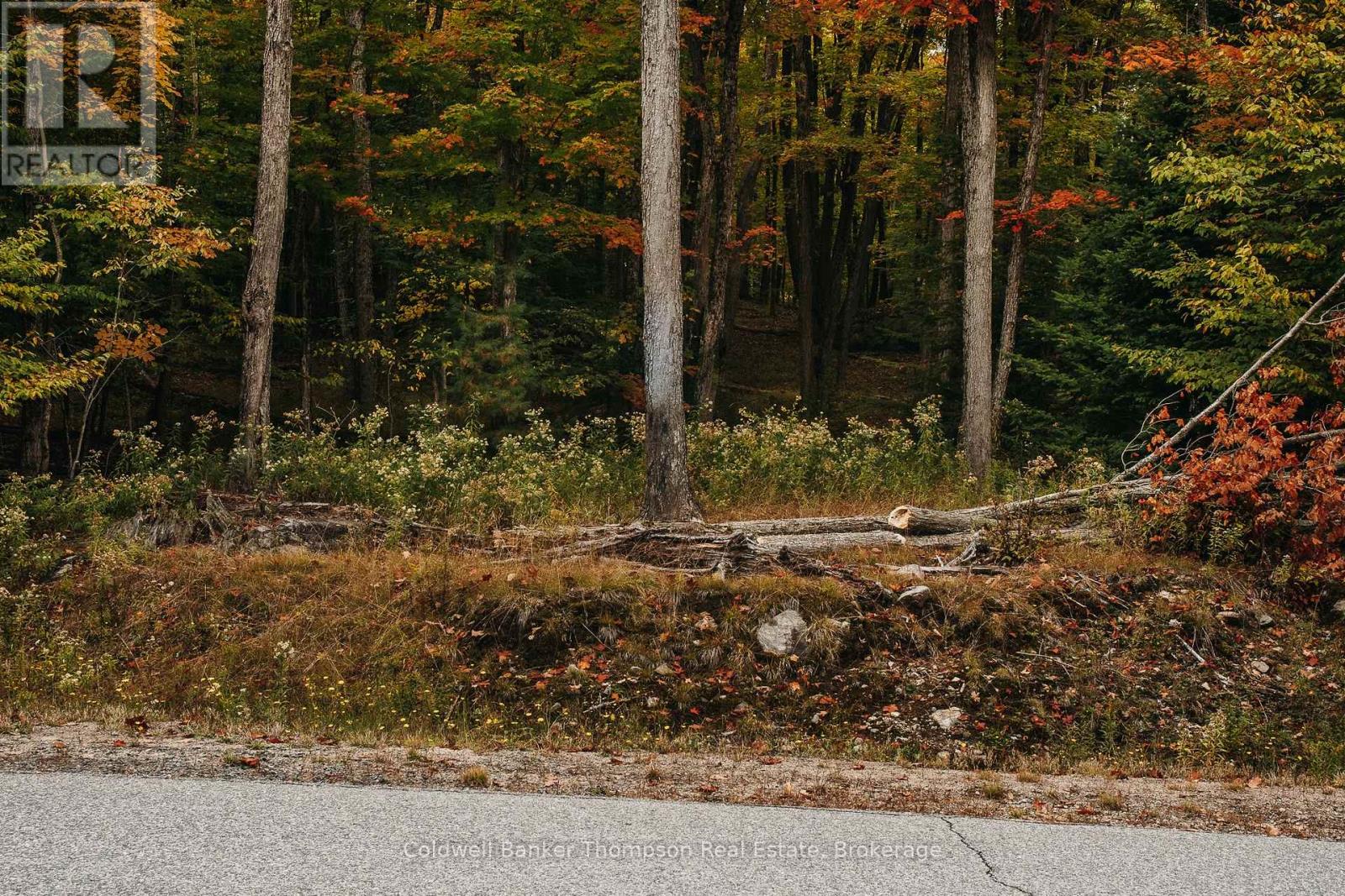 130 Deerfoot Trail, Huntsville, Ontario P1H 0A8 - Photo 5 - X12628554