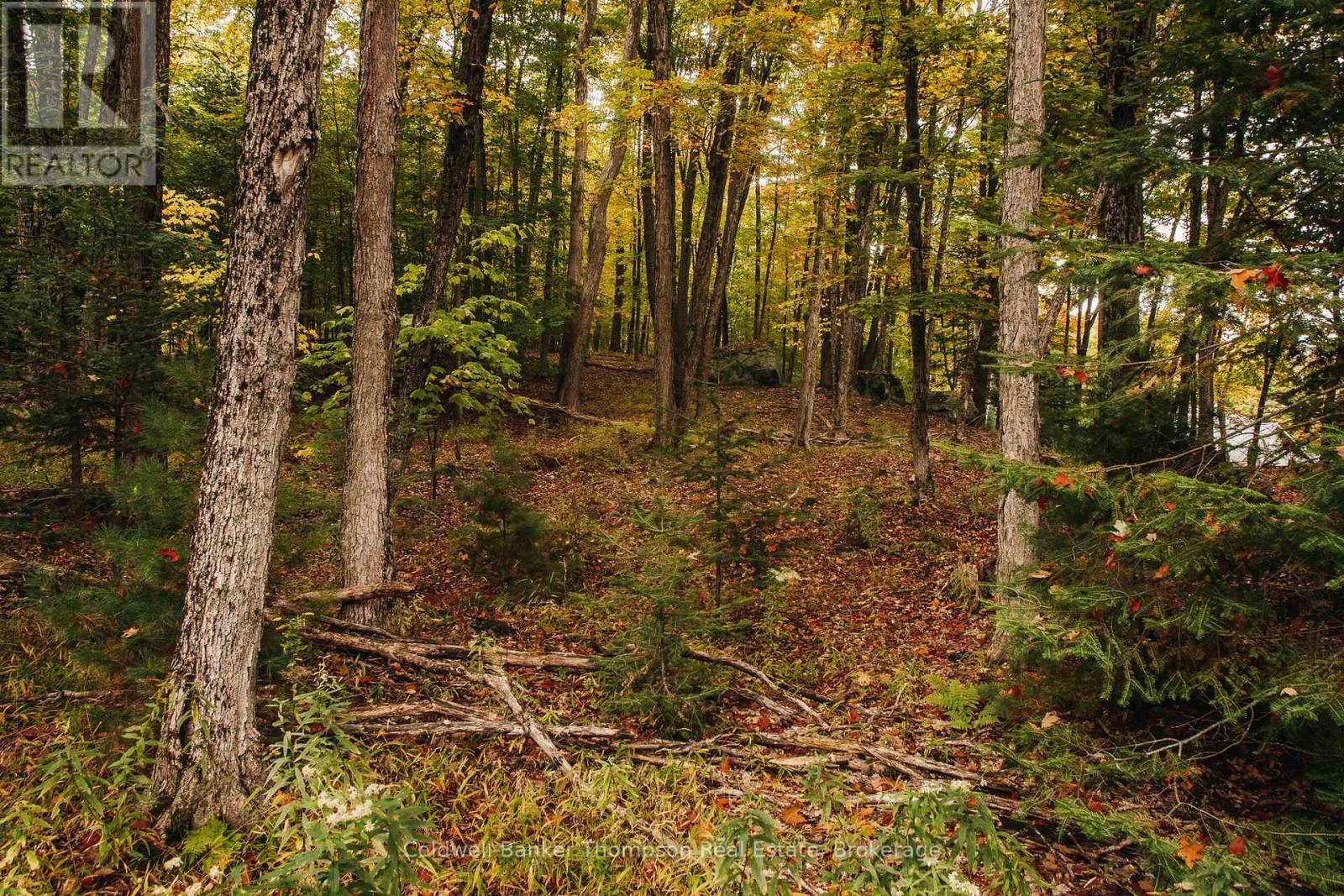 130 Deerfoot Trail, Huntsville, Ontario P1H 0A8 - Photo 6 - X12628554