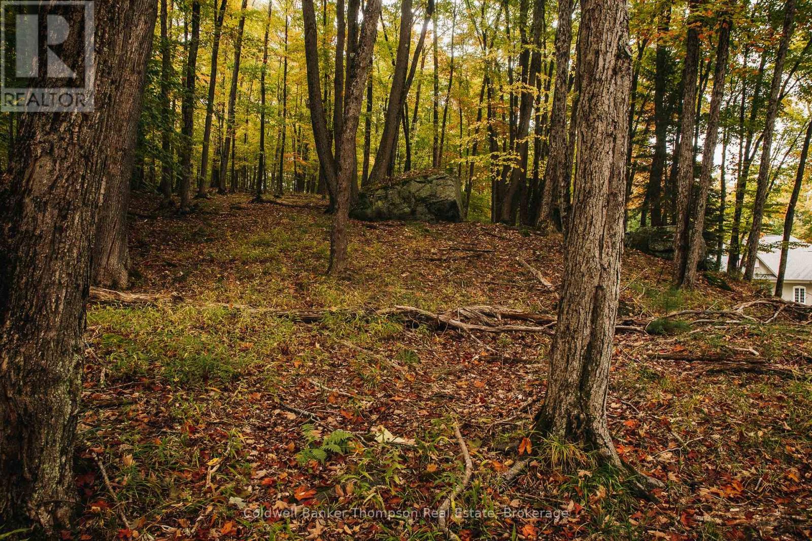 130 Deerfoot Trail, Huntsville, Ontario P1H 0A8 - Photo 7 - X12628554