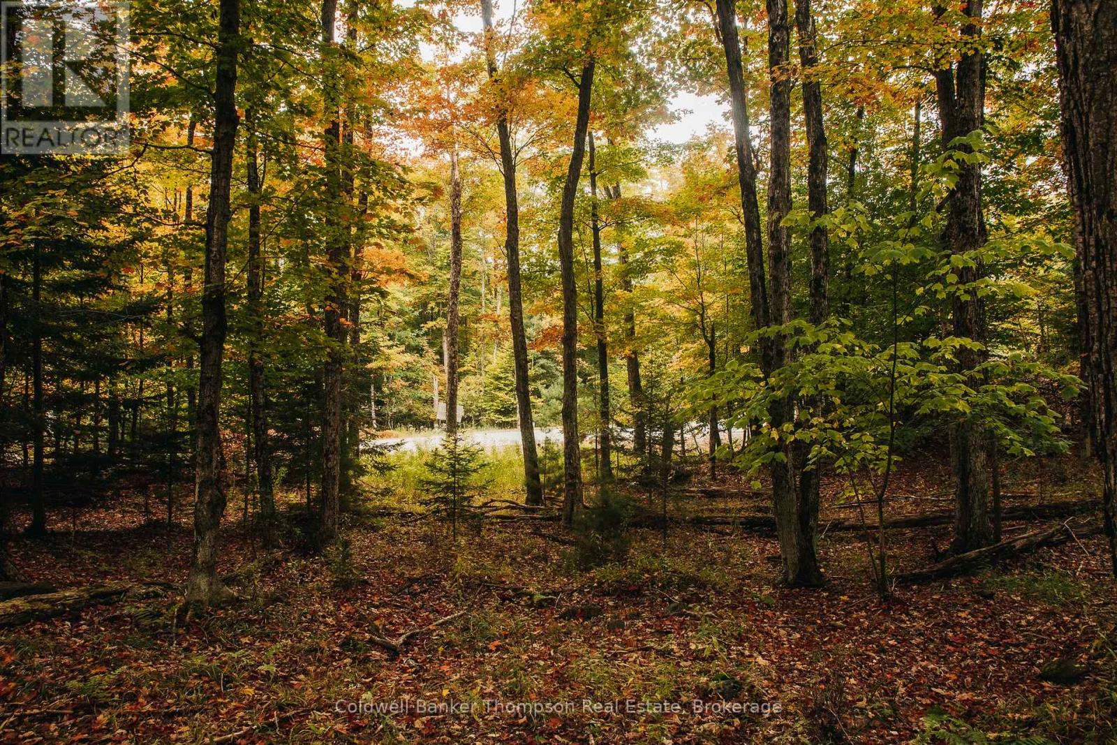 130 Deerfoot Trail, Huntsville, Ontario P1H 0A8 - Photo 8 - X12628554