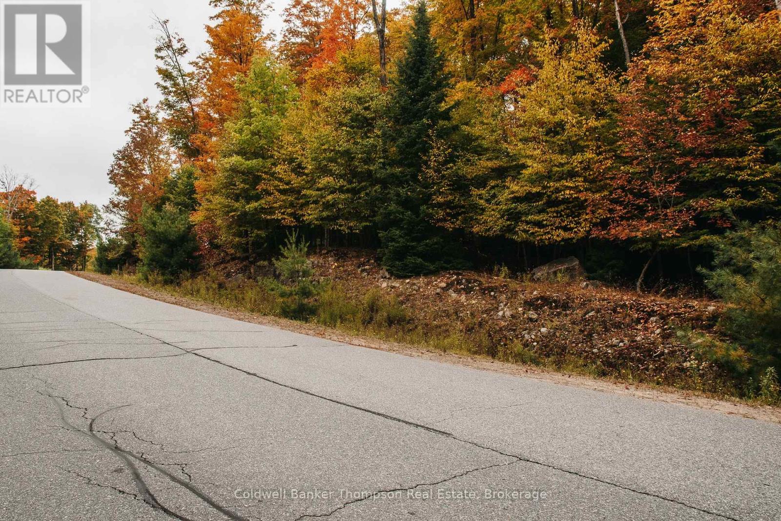 130 Deerfoot Trail, Huntsville, Ontario P1H 0A8 - Photo 9 - X12628554