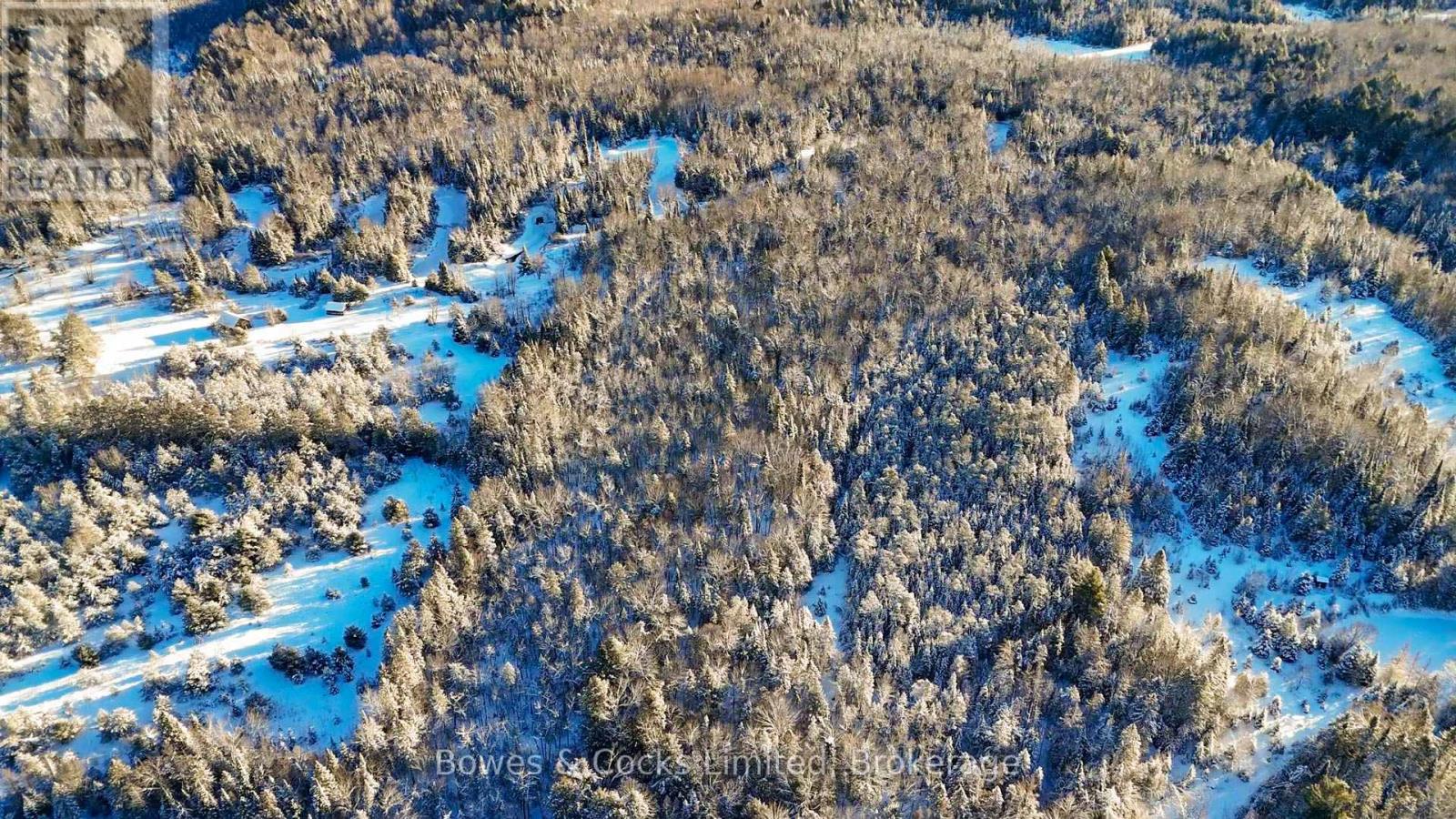 Pt Lt 3 Concession 6, North Kawartha, Ontario  K0L 1A0 - Photo 2 - X12628596