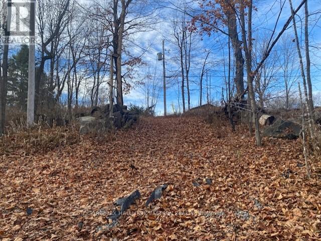 385 Blairton Road, Havelock-Belmont-Methuen, Ontario  K0L 1Z0 - Photo 24 - X12628610