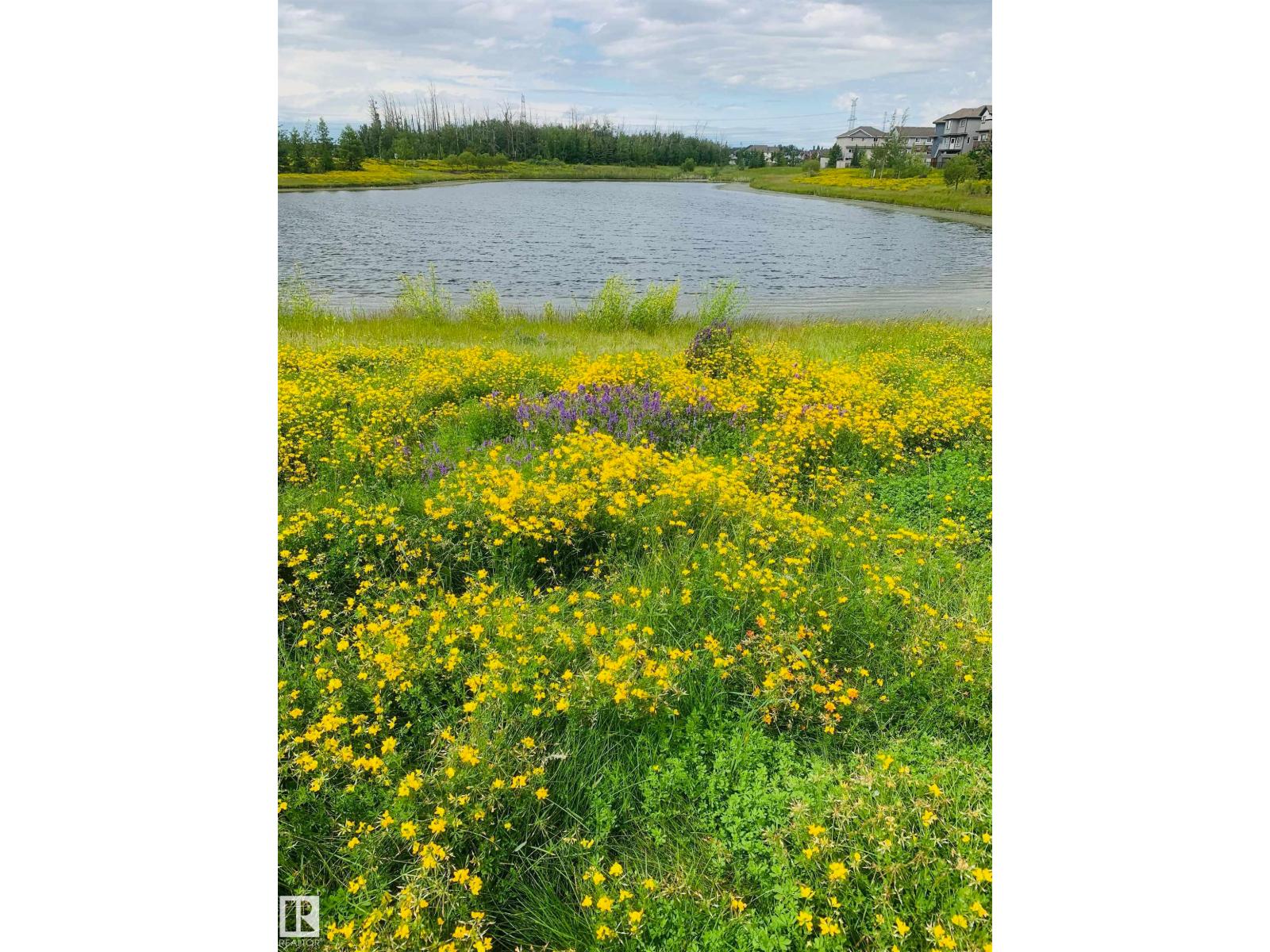 5213 2a Av Sw, Edmonton, Alberta  T6X 0R3 - Photo 62 - E4467864