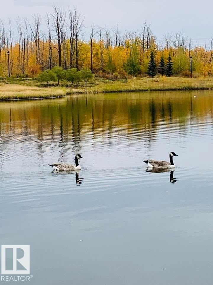 5213 2a Av Sw, Edmonton, Alberta  T6X 0R3 - Photo 61 - E4467864