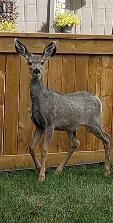 200 Cimarron Drive, Okotoks, Alberta  T1S 0A7 - Photo 33 - A2273102