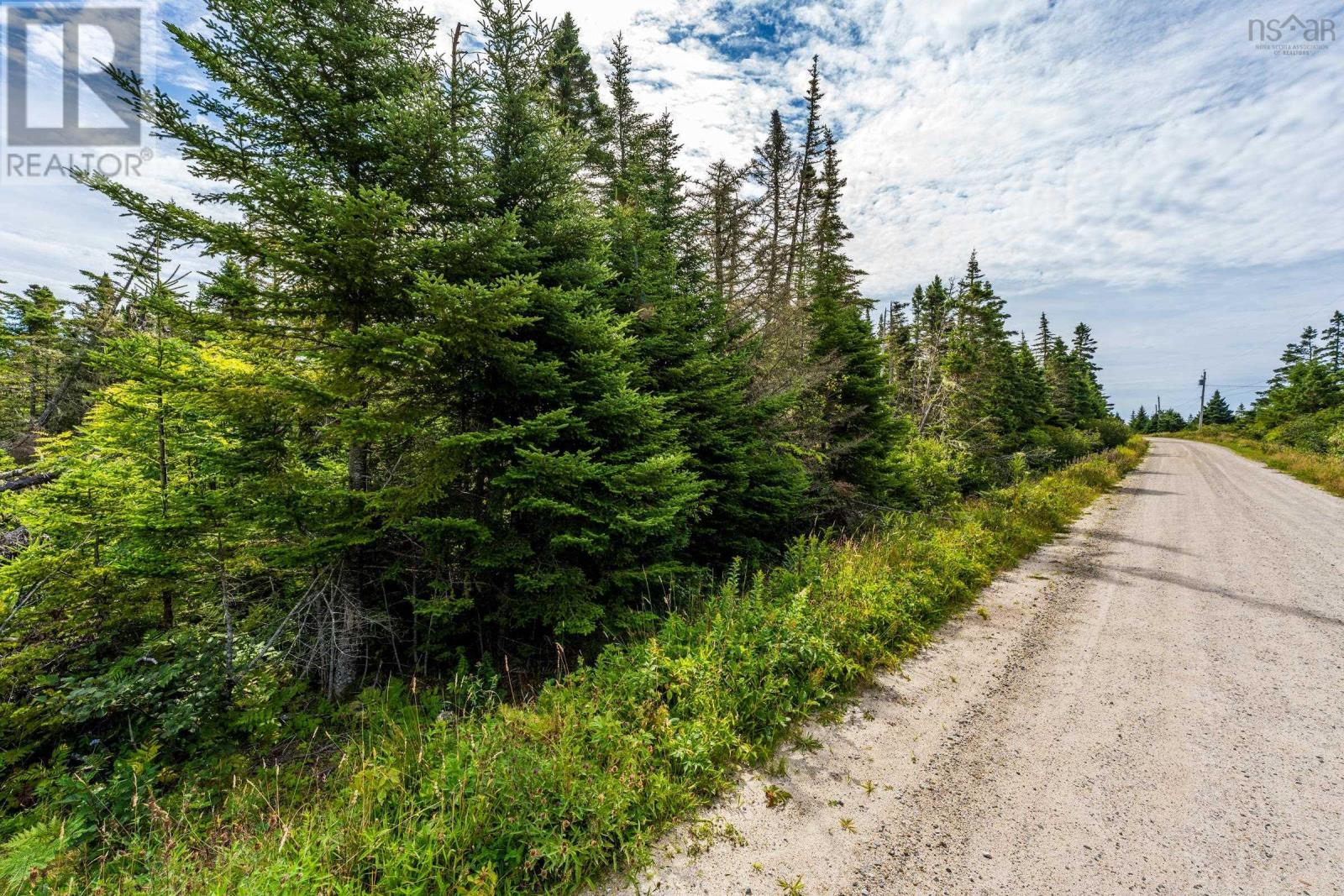 Lot West Sable Road, Little Harbour, Nova Scotia  B0T 1V0 - Photo 13 - 202523747