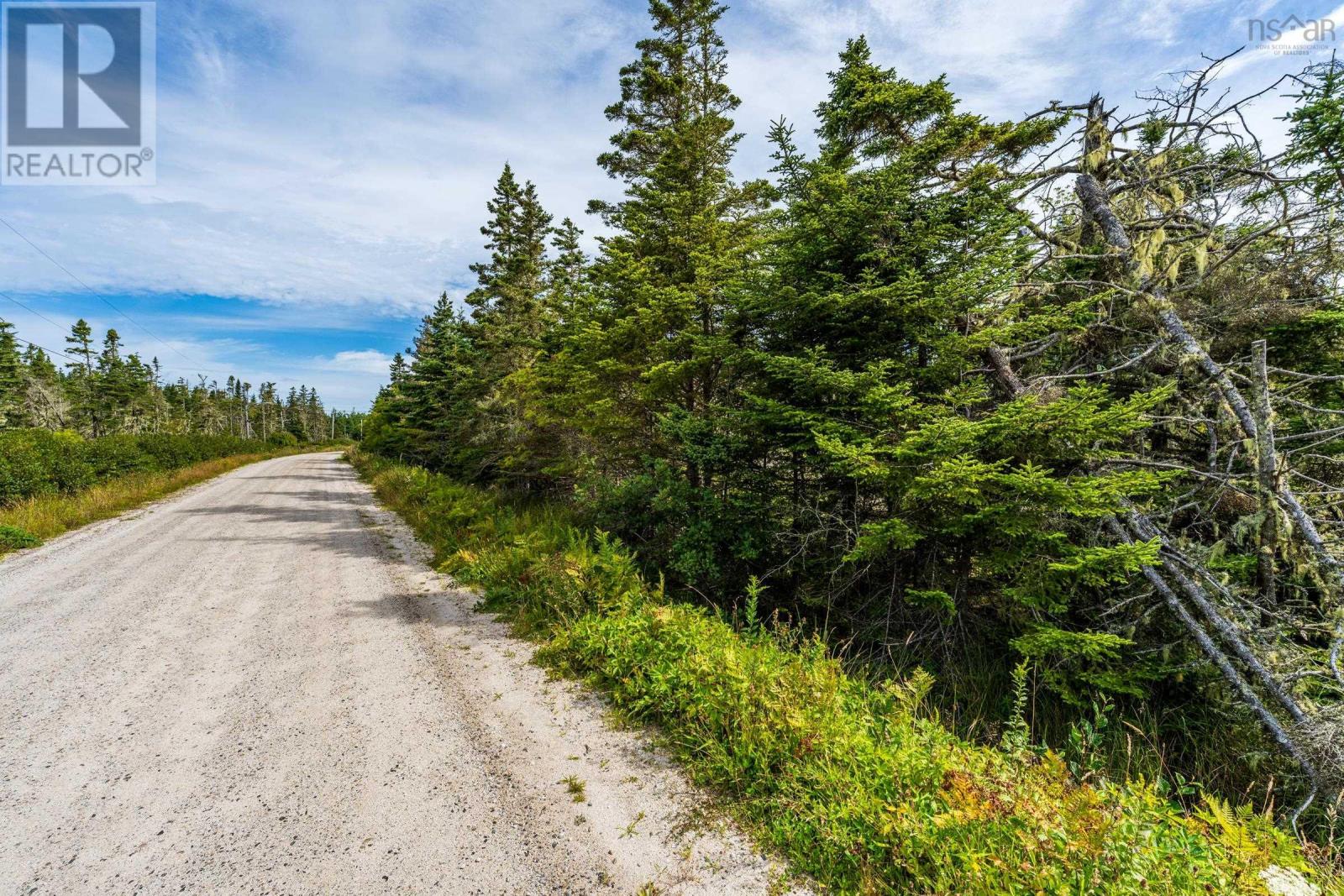 Lot West Sable Road, Little Harbour, Nova Scotia  B0T 1V0 - Photo 14 - 202523747