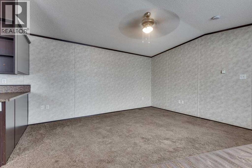 4512 47 Street, Alix, Alberta T0C 0B0 - Photo 10 - A2273958