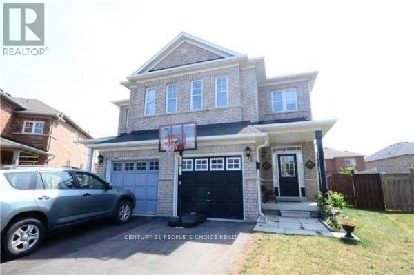 Bsmt - 24 Deepcoral Court, Brampton, Ontario  L6V 4P7 - Photo 2 - W12628718