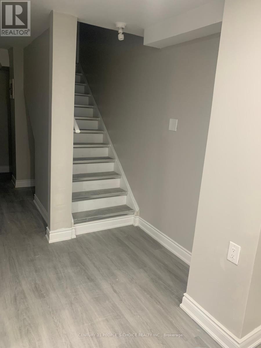 Bsmt - 24 Deepcoral Court, Brampton, Ontario  L6V 4P7 - Photo 5 - W12628718