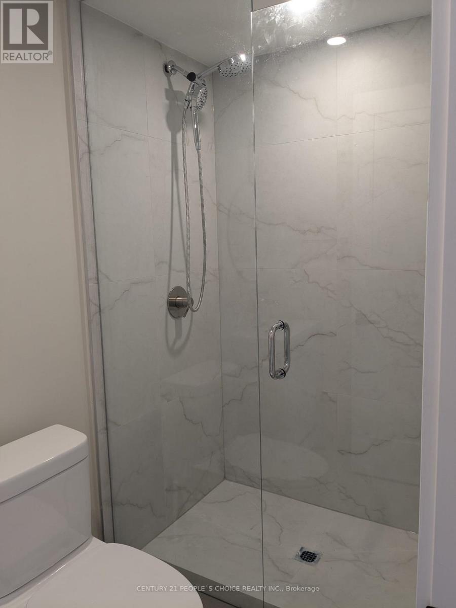 Basement - 313 Ranee Avenue, Toronto, Ontario  M6A 1N9 - Photo 6 - W12628776