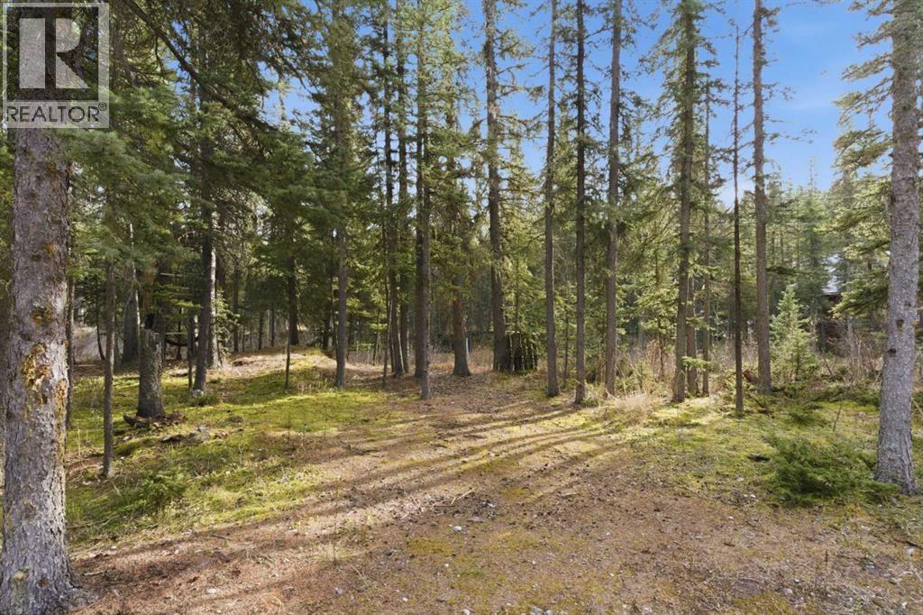 15 Park Point, Bragg Creek, Alberta  T0L 0K0 - Photo 44 - A2270590