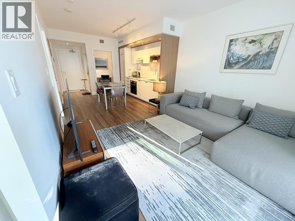 313 1661 Quebec Street, Vancouver, British Columbia  V6A 0H2 - Photo 13 - R3073591