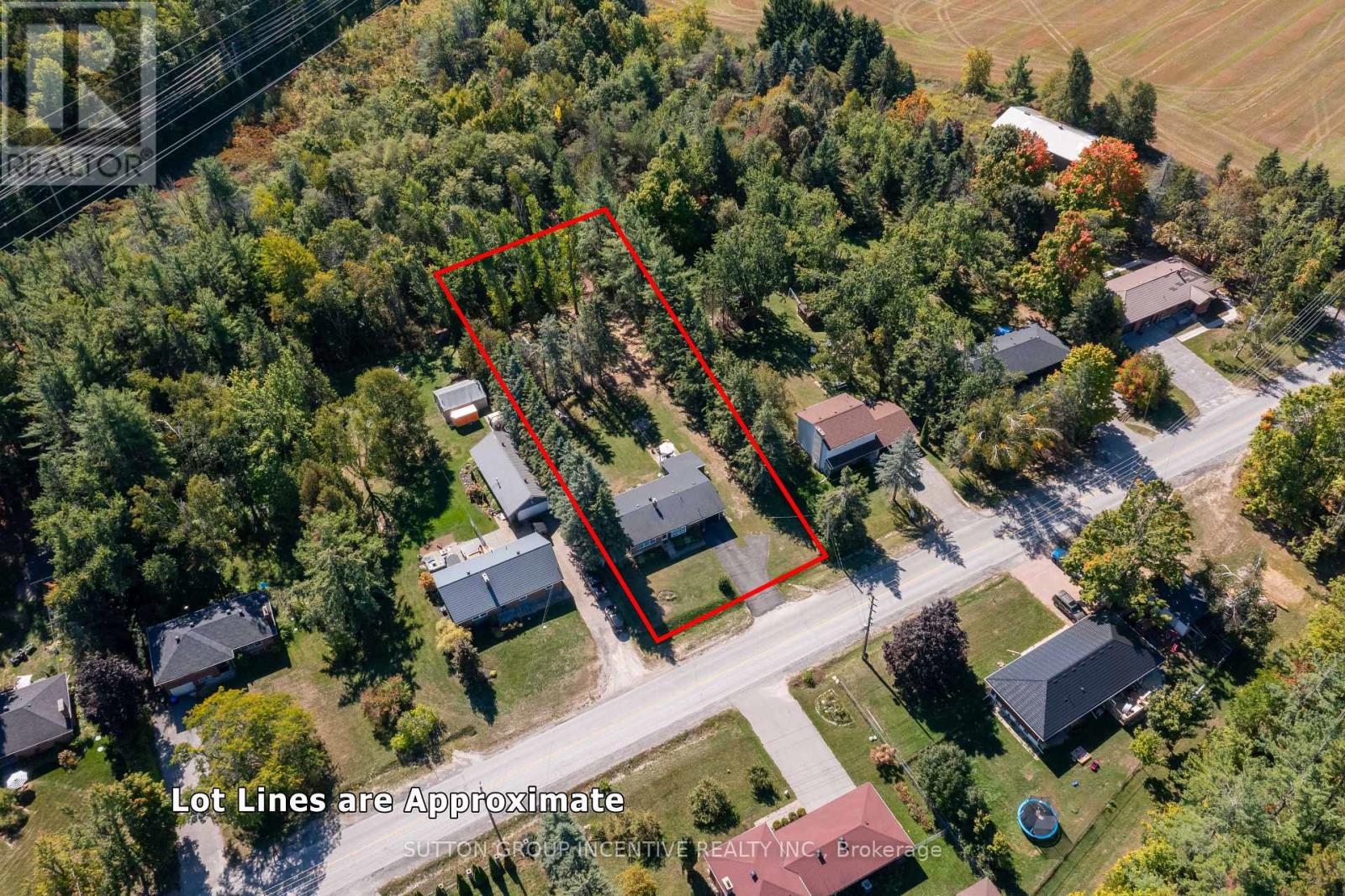 1171 Carson Road, Springwater, Ontario  L4M 4S5 - Photo 4 - S12628956