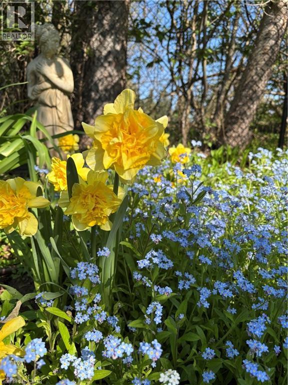 139 Campbell Avenue W, Campbellville, Ontario  L0P 1B0 - Photo 34 - 40793603