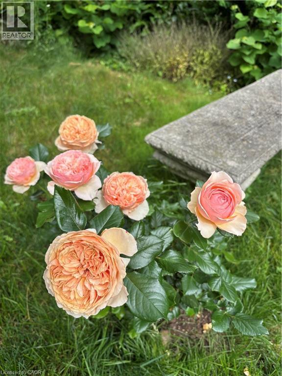 139 Campbell Avenue W, Campbellville, Ontario  L0P 1B0 - Photo 40 - 40793603