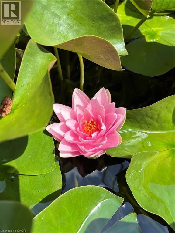 139 Campbell Avenue W, Campbellville, Ontario  L0P 1B0 - Photo 46 - 40793603