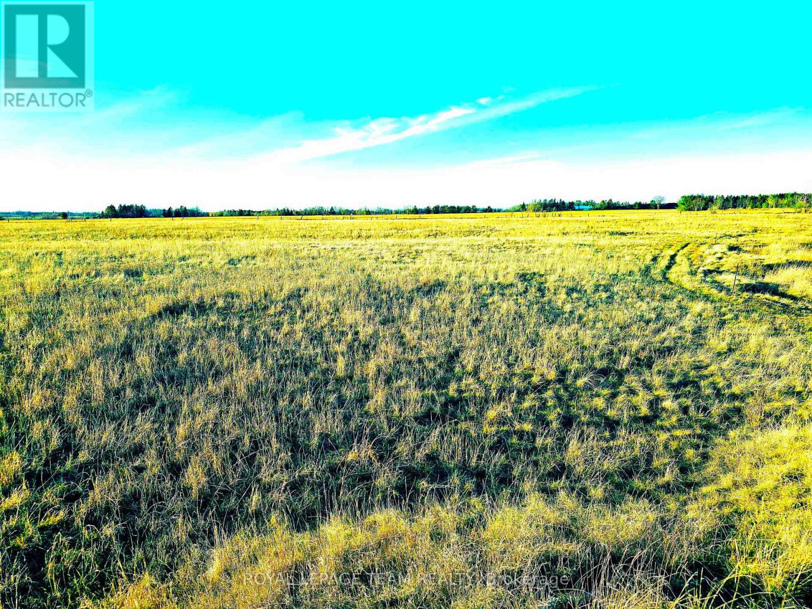 4056 Highway 17 Highway, Ottawa, Ontario  K0A 2H0 - Photo 5 - X12629008