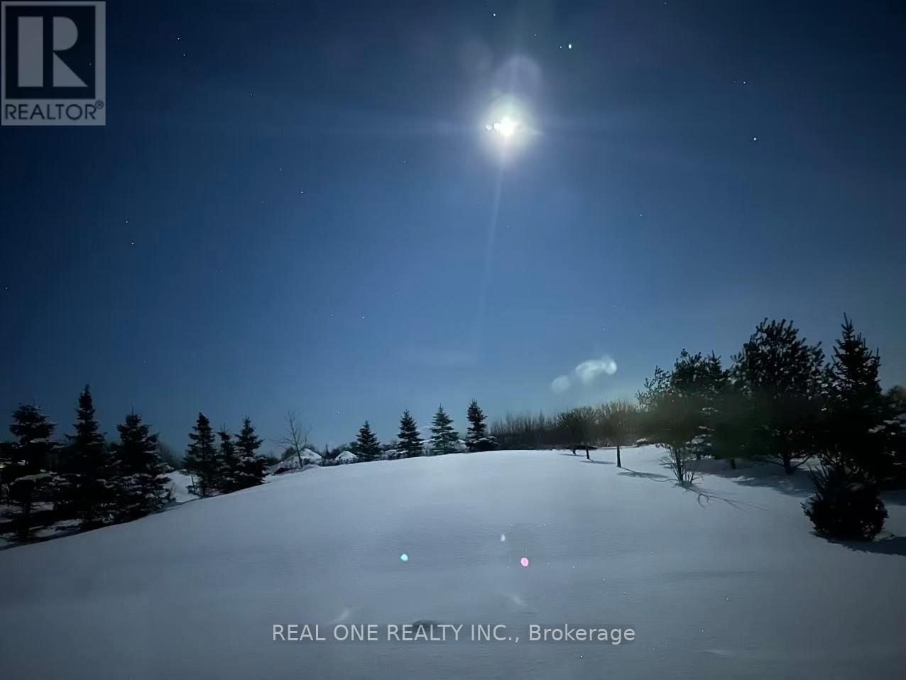 295 Sunnybrae Avenue, Innisfil, Ontario  L9S 0K9 - Photo 49 - N12629072