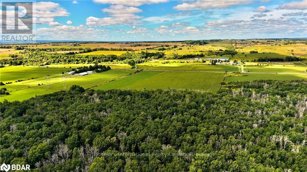 5231 13th Line Lane, New Tecumseth, Ontario  L0G 1B0 - Photo 11 - N12622968