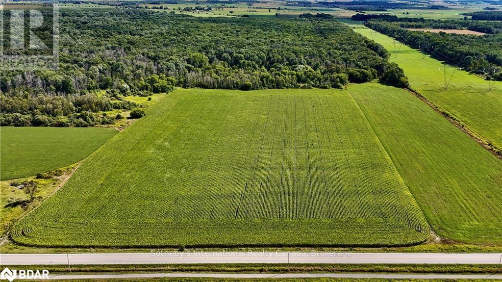 5231 13th Line Lane, New Tecumseth, Ontario  L0G 1B0 - Photo 4 - N12622968