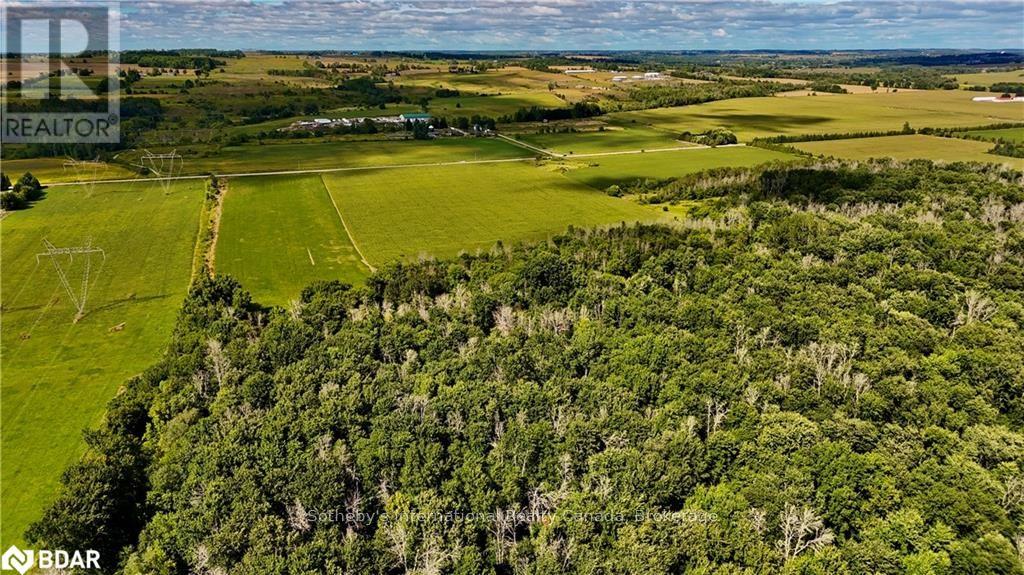 5231 13th Line Lane, New Tecumseth, Ontario  L0G 1B0 - Photo 9 - N12622968