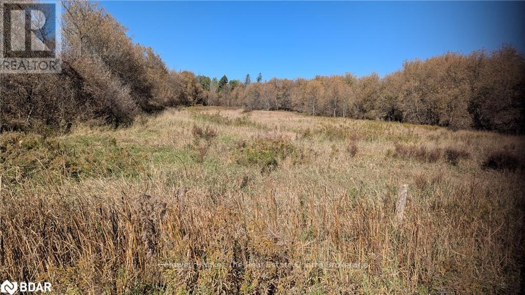 2884 89 Highway, Innisfil, Ontario  L0L 1L0 - Photo 11 - N12623062