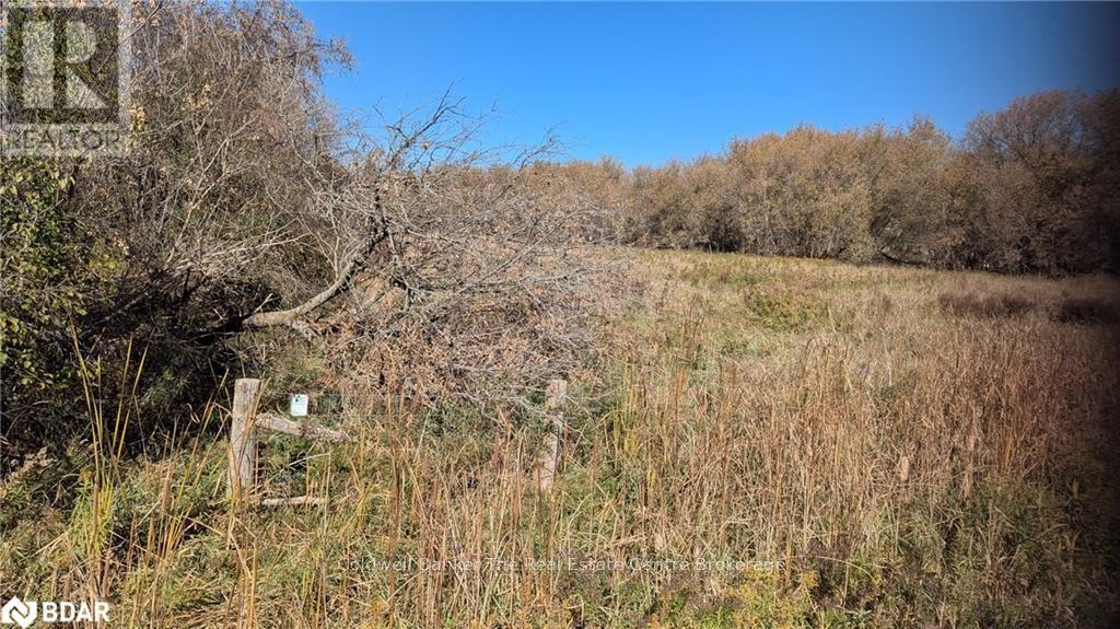 2884 89 Highway, Innisfil, Ontario  L0L 1L0 - Photo 12 - N12623062