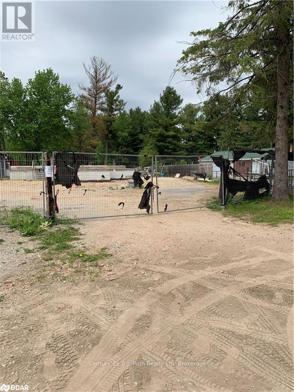 8240 Main Street, Adjala-Tosorontio, Ontario  L0M 1M0 - Photo 5 - N12623120