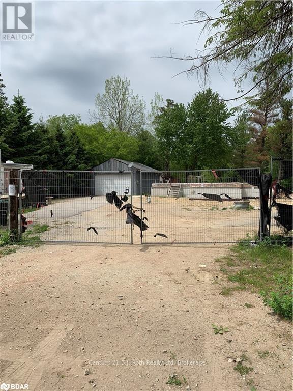 8240 Main Street, Adjala-Tosorontio, Ontario  L0M 1M0 - Photo 9 - N12623120