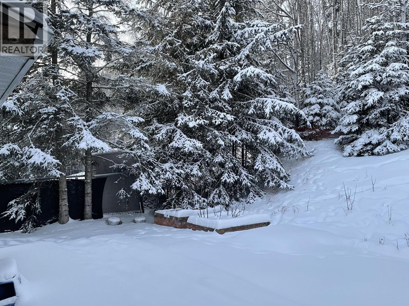 5735 Gairdner Crescent, Fort Nelson, British Columbia  V0C 1R0 - Photo 21 - R3073557